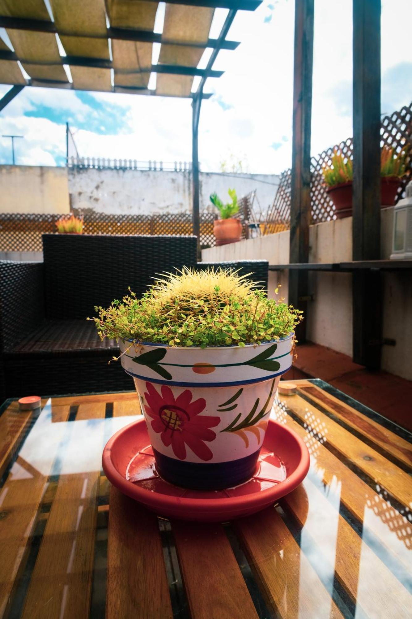 San Roque 5 Appartement *